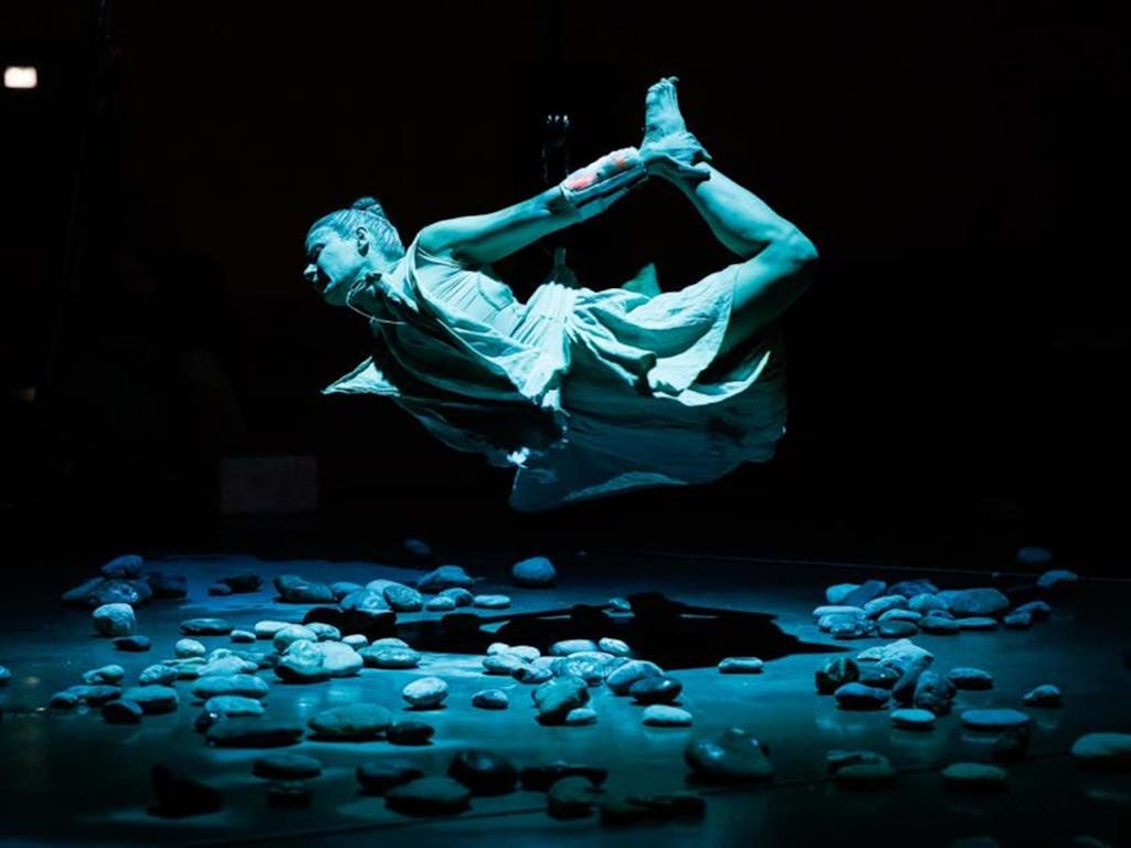 Gravitacija perspektive